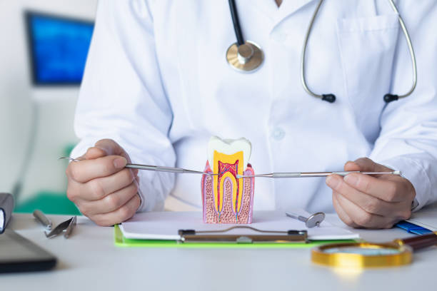 Best Mobile Emergency Dentist in Huron, CA
